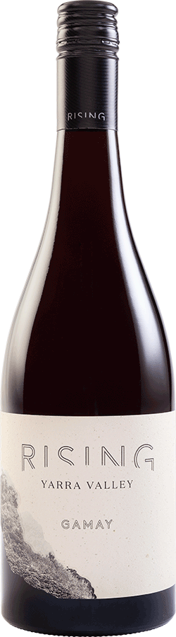 Gamay